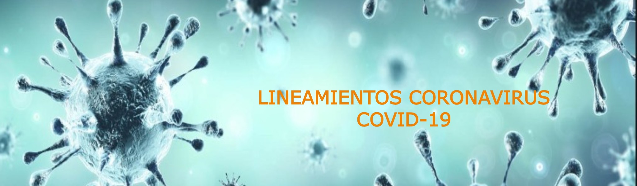 Lineamientos de Coronavirus