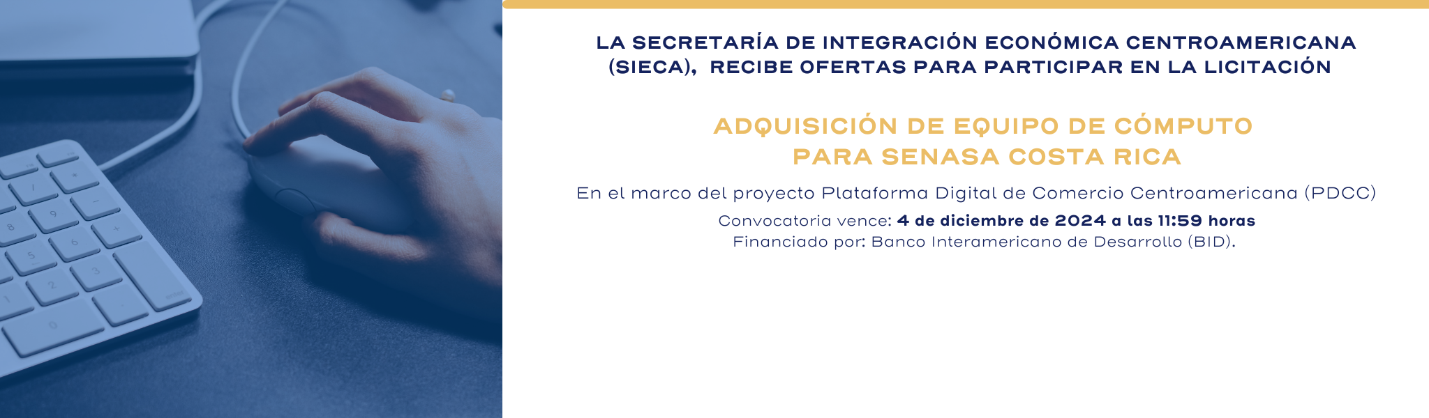 Licitación
